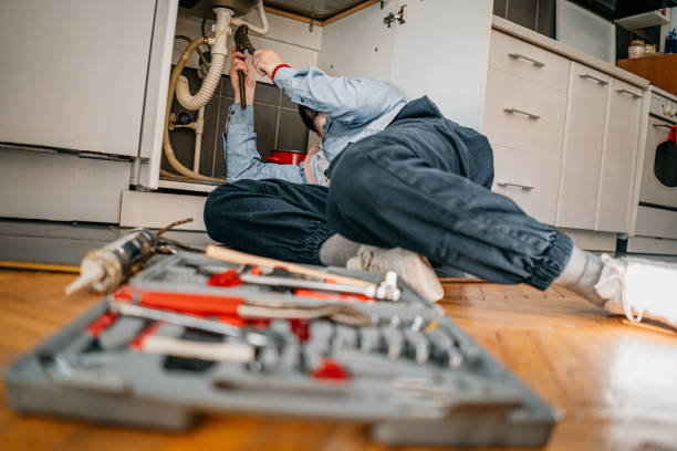 Best Clogged Drain Plumber  in Wolcottville, IN