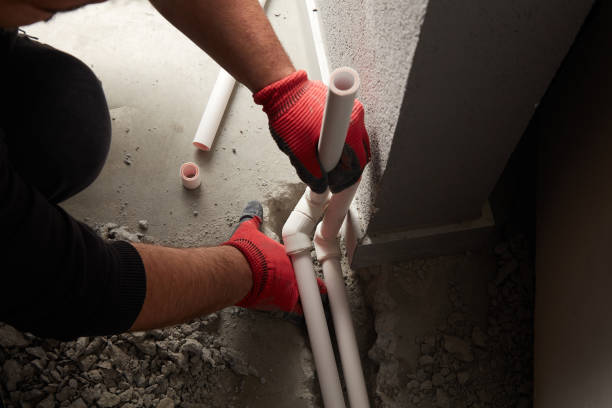 Best Local Plumber Services  in Wolcottville, IN