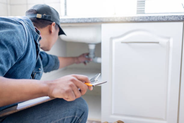 Best Clogged Drain Plumber  in Wolcottville, IN